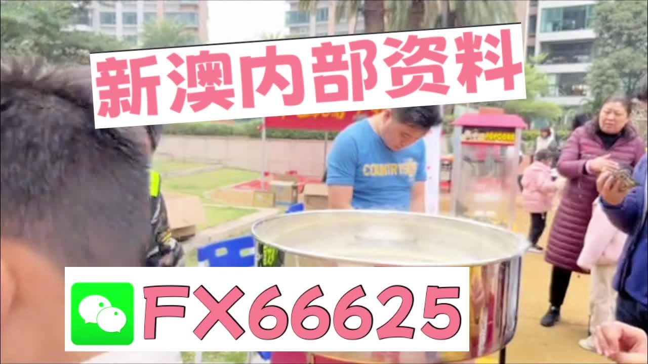 新奧2025正版資料大全，全面解析與深度探索，新奧2025正版資料大全，全面解析與深度探索揭秘