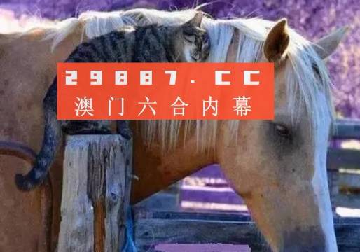 澳門一肖一碼一待一中四不像，探索與解析，澳門一肖一碼一待一中四不像，深度解析與探索