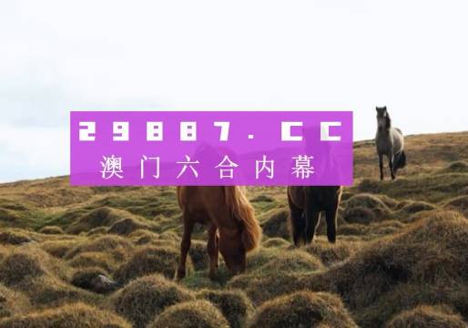 澳門今晚開獎什么，揭秘彩票背后的秘密與策略分析，澳門彩票開獎揭秘，策略分析與秘密探索