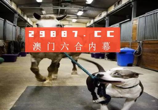 澳門一肖一碼一必中一肖，同舟前進(jìn)的奧秘與策略，澳門一肖一碼必中策略與前進(jìn)奧秘，同舟共濟(jì)的揭秘與策略