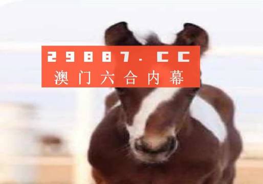 澳門一肖一碼狀元紅，揭秘彩票背后的秘密與策略，澳門彩票揭秘，狀元紅背后的秘密與策略解析