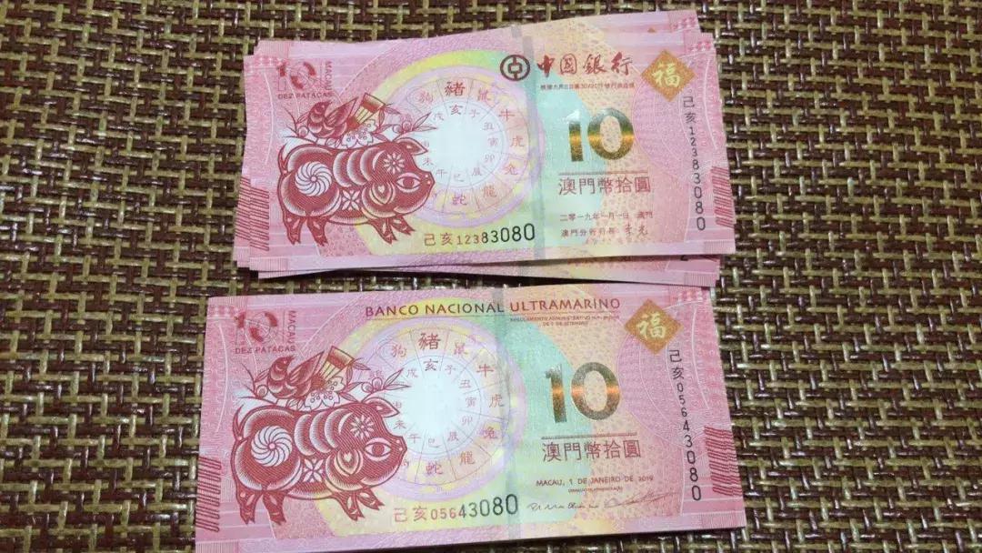 新澳門生肖走勢圖，深度解析與預(yù)測，澳門生肖走勢圖深度解析及預(yù)測報(bào)告