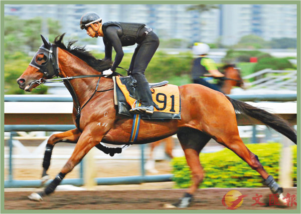 香港賽馬，探索數(shù)字背后的激情與榮耀，香港賽馬，數(shù)字背后的激情與榮耀之旅