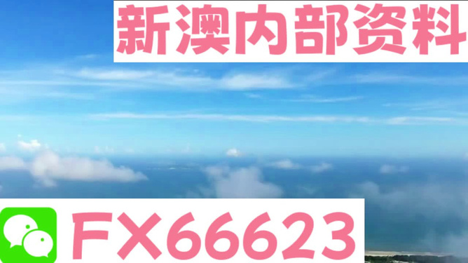 新澳內部免費爆料，揭秘內部不為人知的秘密，新澳內部揭秘，不為人知的秘密大爆料