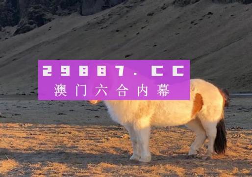 澳門天天彩資料正版免費特色快8，探索彩票世界的魅力與機(jī)遇，澳門天天彩正版特色快8，彩票世界的魅力與機(jī)遇探索