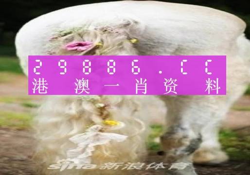 澳門羊了個羊與各大圖庫的資料揭秘，2023年澳門今晚必中一肖一碼永久免費(fèi)資料庫大解密，澳門羊了個羊與資料庫揭秘，2023年必中一肖一碼永久免費(fèi)資料大解密