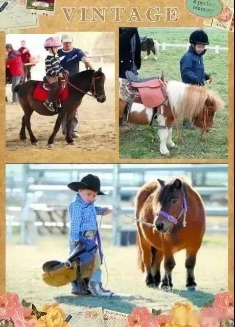 揭秘今晚澳門特馬開彩結果，四不像彩種深度解析，澳門特馬開彩結果揭秘，四不像彩種深度解析與預測