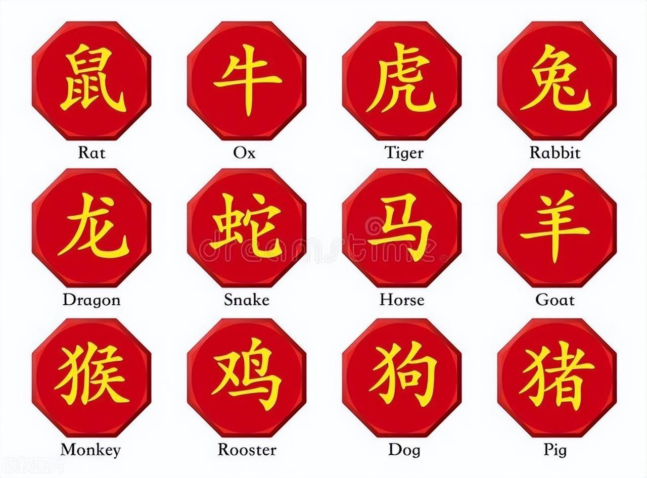 新澳特碼，羊?；⒏鲾?shù)10——揭秘背后的數(shù)字奧秘，揭秘新澳特碼數(shù)字奧秘，羊?；⒏鲾?shù)背后的秘密