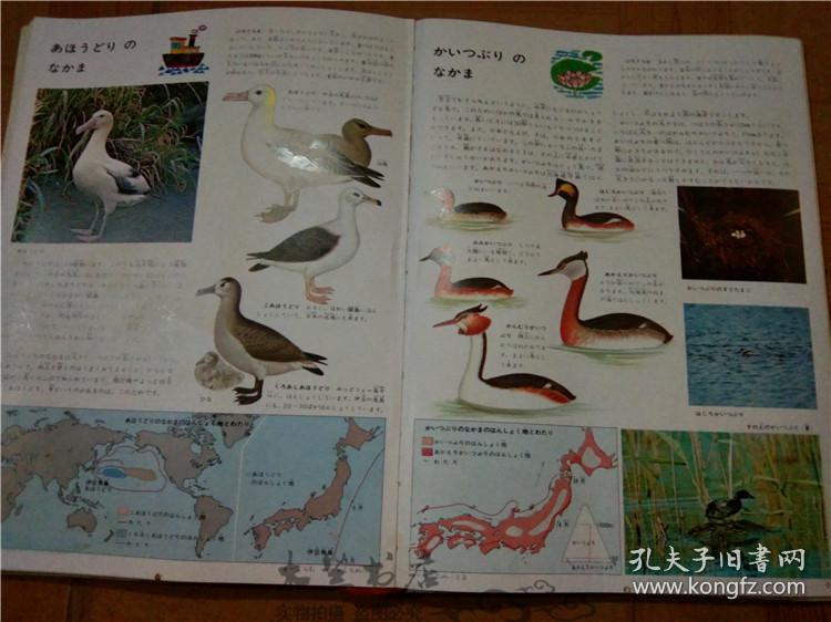 今日正版跑狗圖分享，探索7777788888跑狗圖的魅力，今日正版跑狗圖分享，探索魅力十足的777778跑狗圖