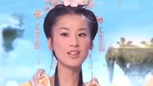 曾道道人資料免費(fèi)大全，深度探索與解析，曾道道人資料深度解析與免費(fèi)大全探索