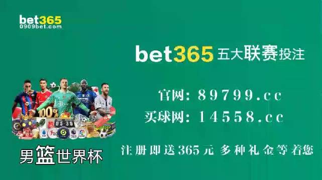 王中王中特馬王中王精準資料解析與SEO優(yōu)化策略探討，王中王中特馬精準資料解析與SEO策略探討