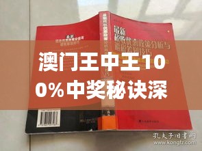 新澳門王中王期期中，探索與解析，新澳門王中王期期中，深度探索與解析