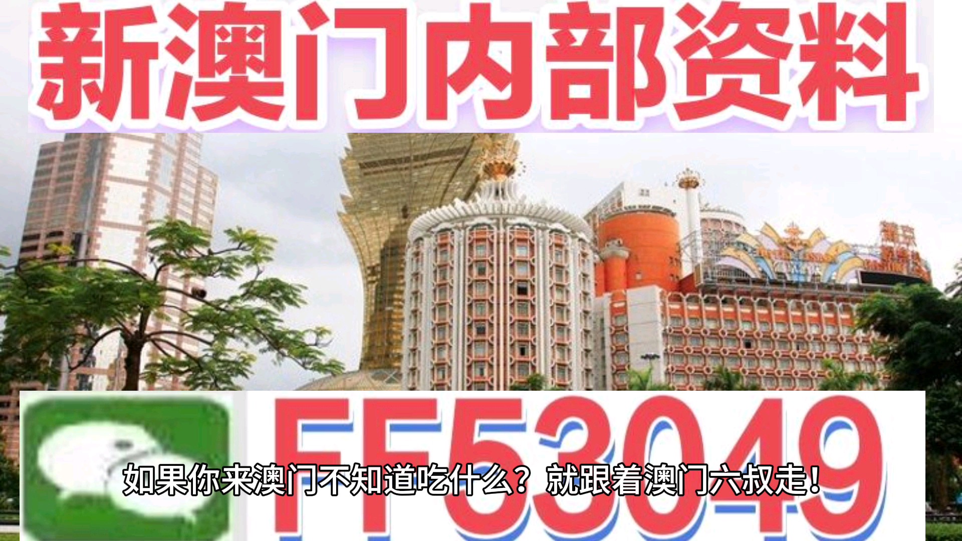 澳門今晚特馬生肖預(yù)測，探尋未來的幸運符號（2025年），澳門生肖預(yù)測揭秘，探尋未來幸運符號（特馬生肖預(yù)測 2025年展望）
