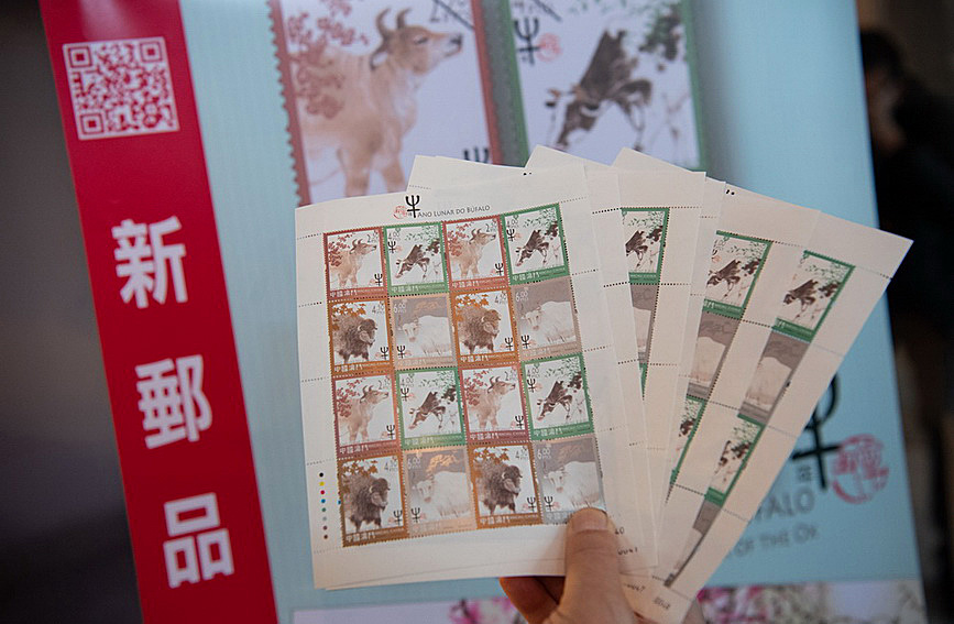 澳門值日生肖600圖庫與八百圖庫開獎(jiǎng)，探索生肖圖庫的魅力與奧秘，澳門生肖圖庫開獎(jiǎng)揭秘，探索值日生肖600圖庫與八百圖庫的魅力與奧秘