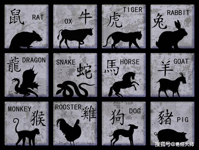 新澳特碼，羊牛虎各數10的獨特魅力與解析，新澳特碼，羊?；⒏鲾?0的獨特魅力深度解析