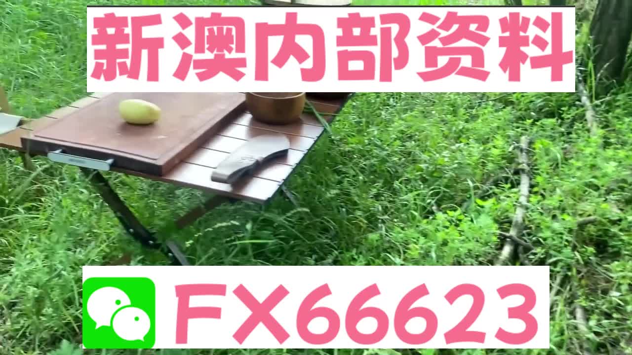 新奧特碼走勢(shì)圖解析與預(yù)測(cè)，新奧特碼走勢(shì)圖解析與預(yù)測(cè)，未來(lái)趨勢(shì)探討