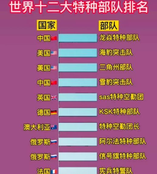 中國(guó)十大王牌特種部隊(duì)，實(shí)力與榮耀的象征，中國(guó)十大王牌特種部隊(duì)，實(shí)力與榮耀的巔峰標(biāo)志