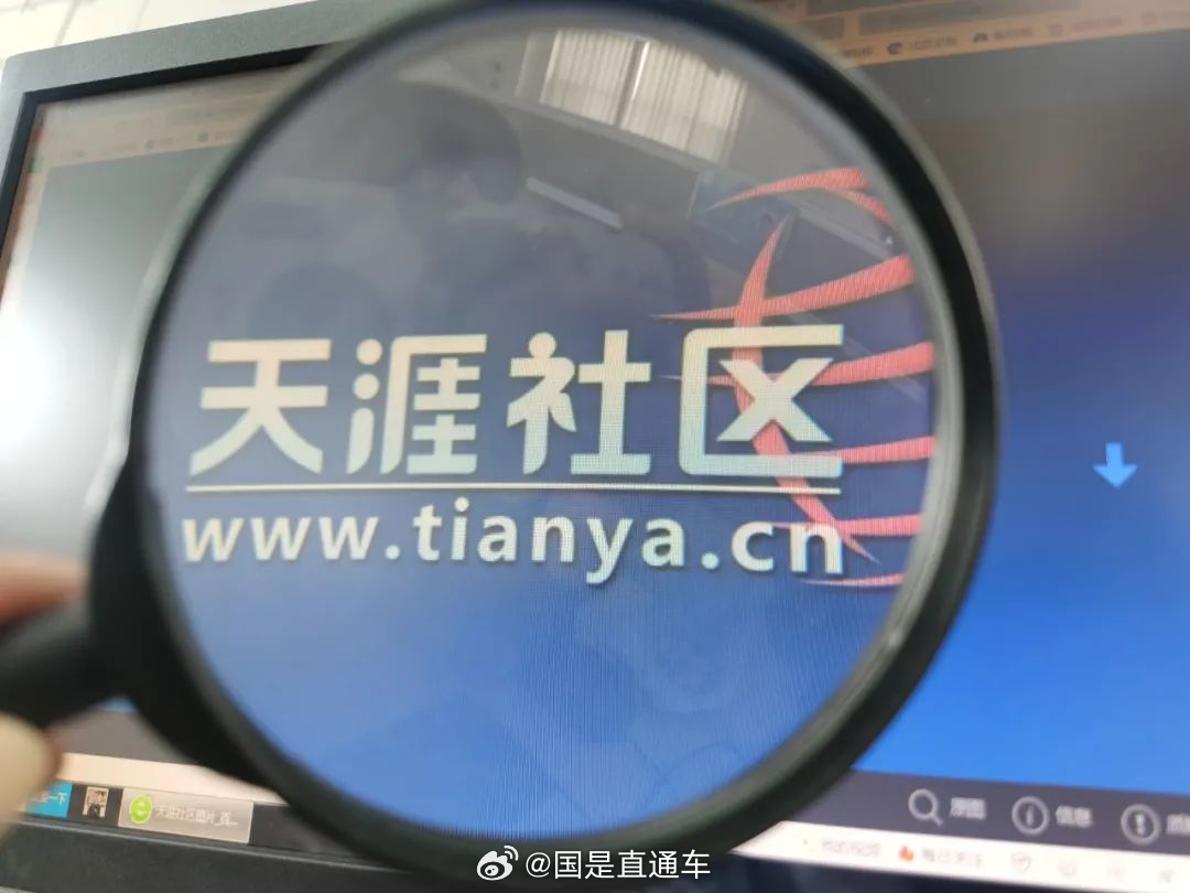 天涯國際觀察，全球視野下的深度分析與洞察，全球深度洞察，天涯國際觀察分析