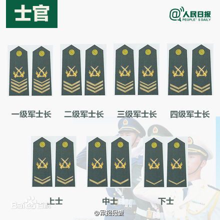 全球各國軍士長軍銜對照表及其重要性，全球各國軍士長軍銜對照表，揭示其重要性