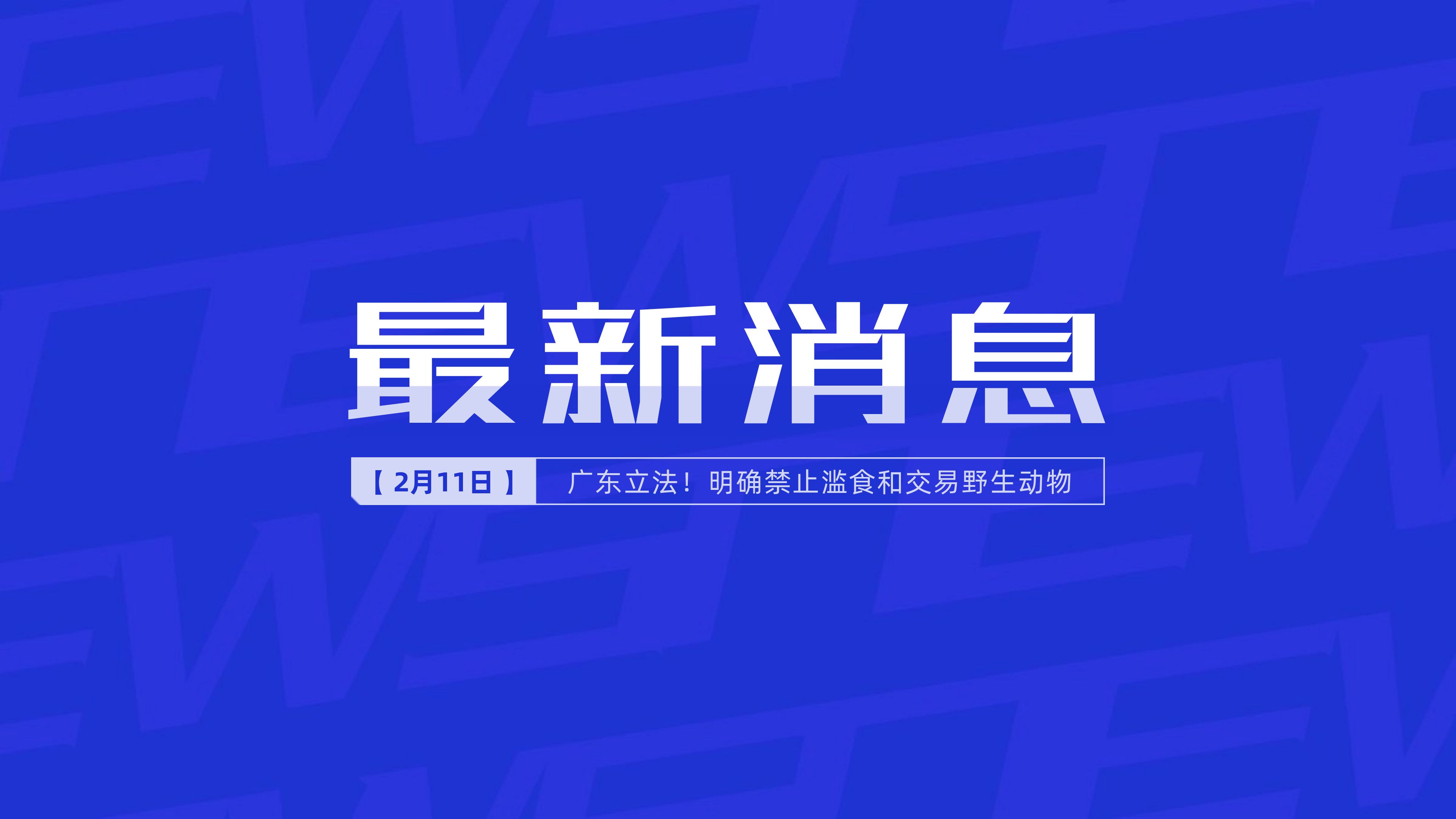 新聞最新新聞，掌握時(shí)事熱點(diǎn)，洞悉世界動(dòng)態(tài)，時(shí)事熱點(diǎn)速遞，掌握全球最新動(dòng)態(tài)新聞