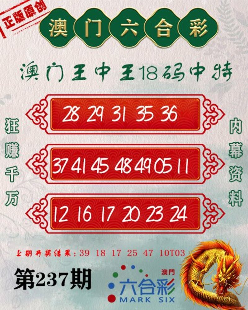 新澳門(mén)王中王期期中，探索與解析，新澳門(mén)王中王期期中，深度探索與解析