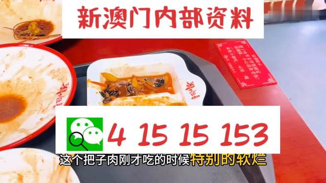 澳門(mén)王中王六碼新澳門(mén)，探索與解析，澳門(mén)王中王六碼新澳門(mén)，深度探索與解析
