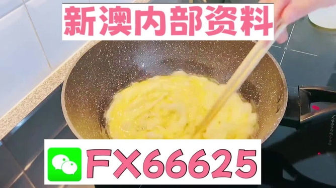 澳門九點半9點半網(wǎng)站——探索與體驗，澳門九點半網(wǎng)站，探索與體驗之旅