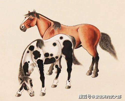 香港四不像一肖生肖圖，揭秘背后的神秘文化，香港四不像一肖生肖圖，神秘文化背后的揭秘