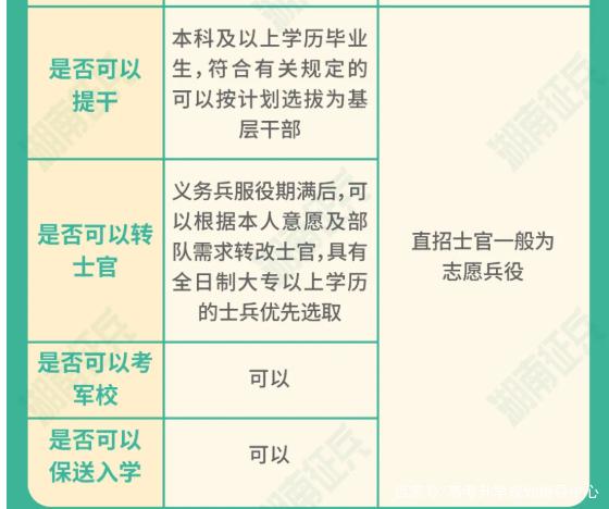 士官直招與義務(wù)兵的區(qū)別，深入了解軍隊(duì)招募制度，直招士官與義務(wù)兵招募制度深度解析，軍隊(duì)招募制度詳解
