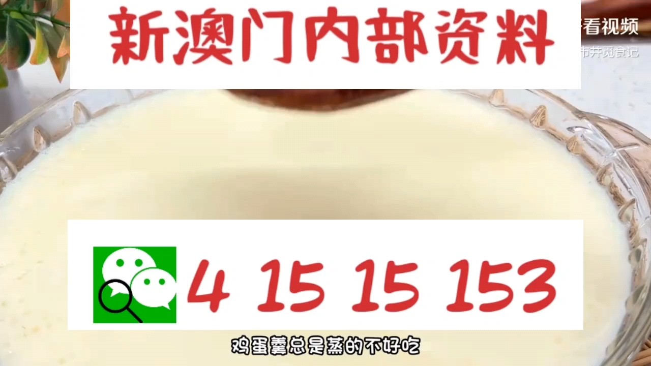 新澳門中特網(wǎng)中特馬，探索與解析，澳門中特馬探索與解析指南