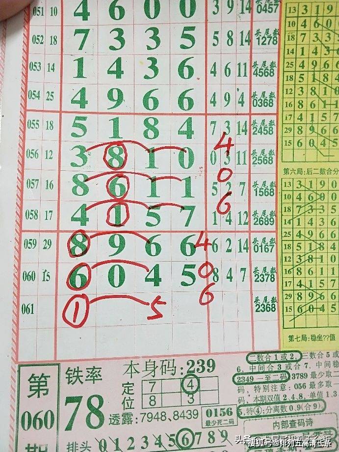 平特肖推算法，探索搜索引擎優(yōu)化的新境界，平特肖推算法，開(kāi)啟搜索引擎優(yōu)化新境界的探索之旅