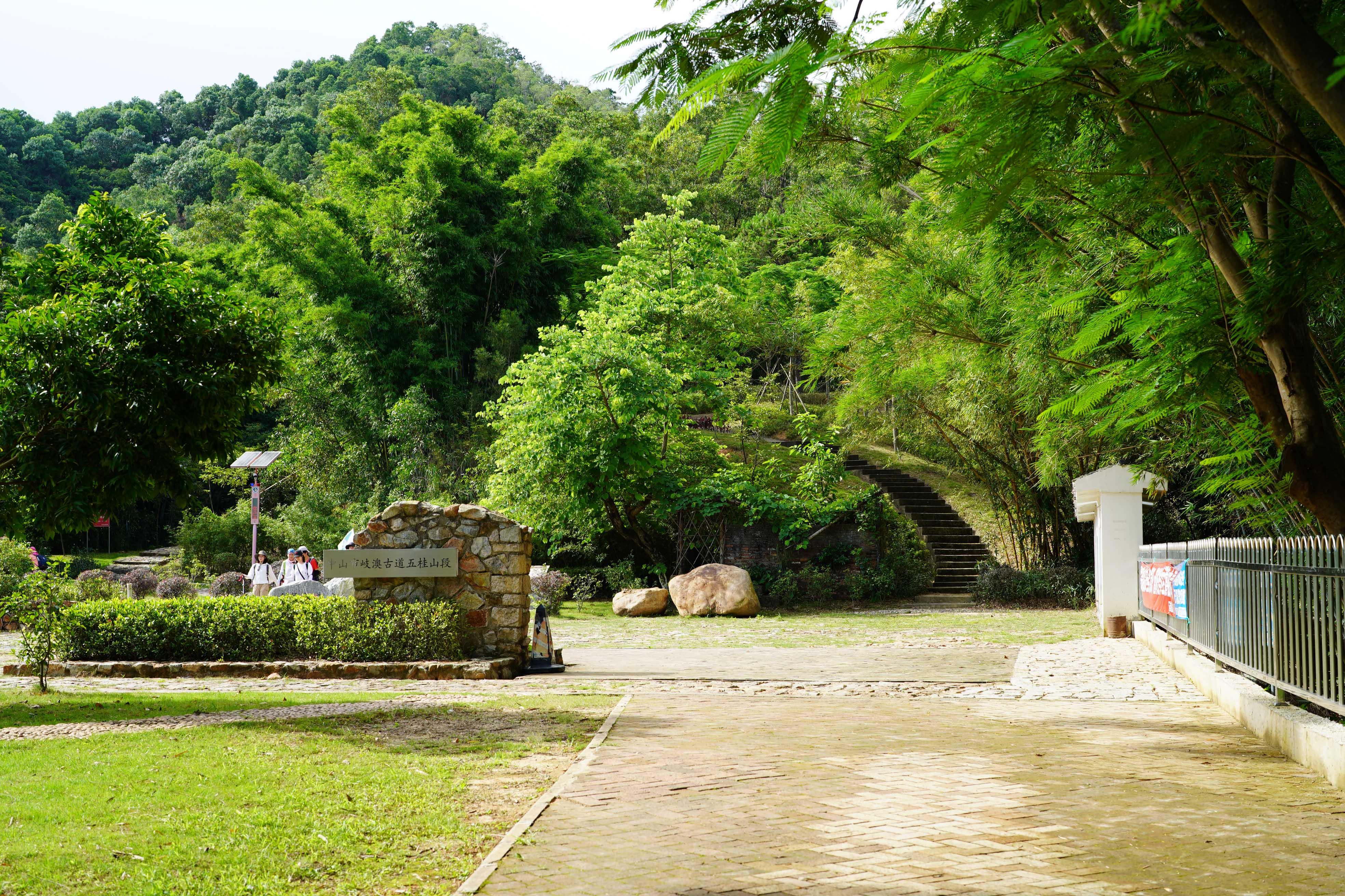 新澳門波色走勢圖表大全，深度解析與預(yù)測，澳門波色走勢圖表解析與預(yù)測大全