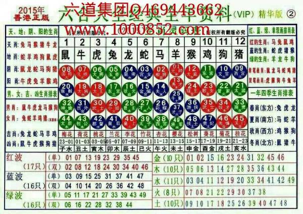 揭秘2024十二生肖49碼表——完整指南，揭秘十二生肖49碼表全攻略，2024年最新版指南