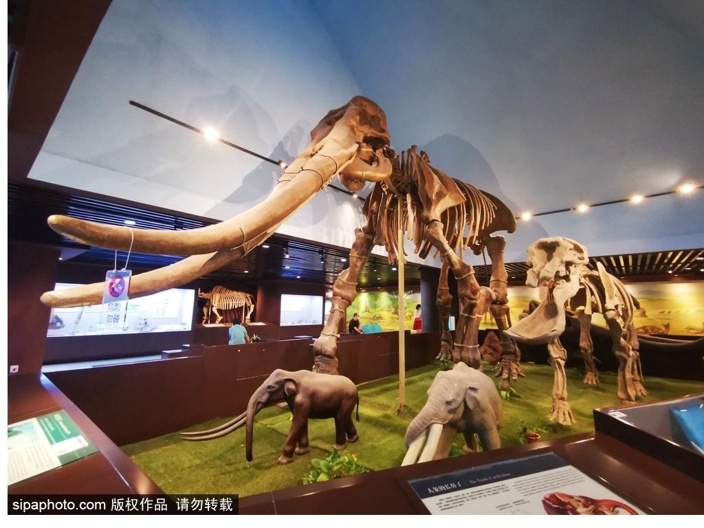 北京必去的十大博物館——探尋千年文化的精華之旅，北京必游十大博物館，千年文化精華之旅探尋記