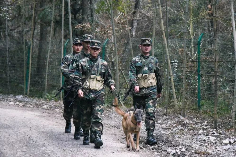 火箭軍是否都在大山之中？解析火箭軍的駐扎環(huán)境與任務特點，火箭軍的駐扎環(huán)境與任務特點解析，大山之中還是多元布局？