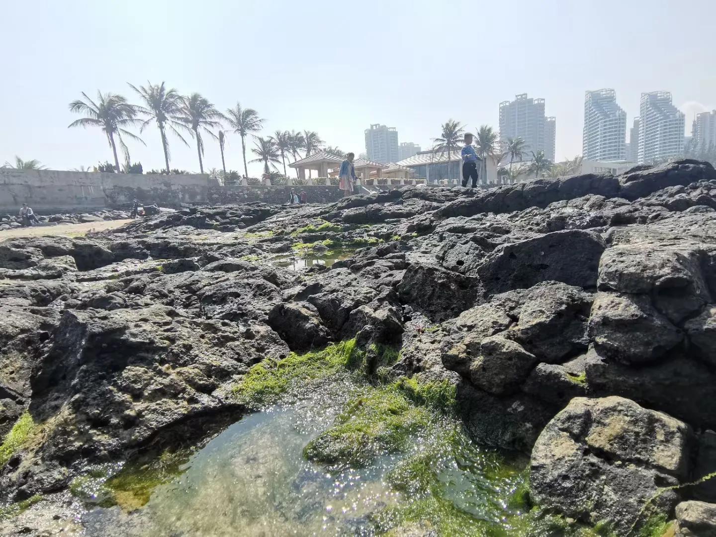 解放海南島電視劇全集下載，探尋30集完整劇情，解放海南島電視劇全集下載，探尋完整的30集劇情探索