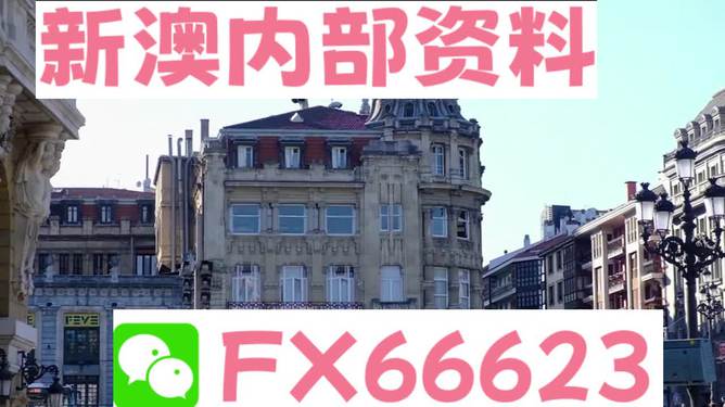 澳門六資料大全，深度探索與揭秘，澳門六資料大全，深度探索與揭秘之旅