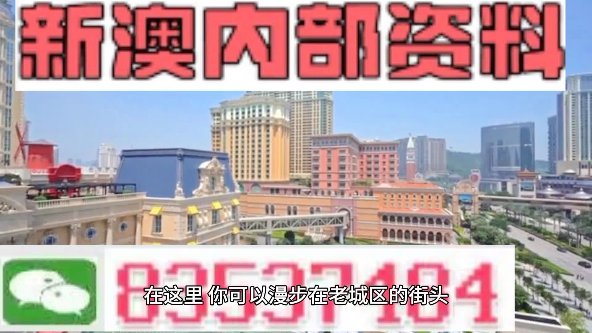 新澳門期期準(zhǔn)精準(zhǔn)，探索澳門的未來與SEO策略，澳門未來展望與SEO策略探索，精準(zhǔn)瞄準(zhǔn)新機(jī)遇