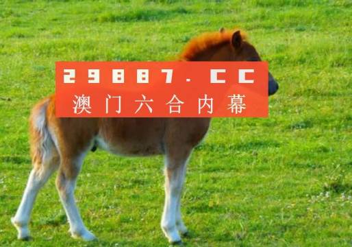澳門答家婆一肖一馬一中一特，揭秘背后的秘密與獨(dú)特文化魅力，澳門文化魅力深度解析，答家婆一肖一馬一中一特的獨(dú)特傳統(tǒng)與秘密