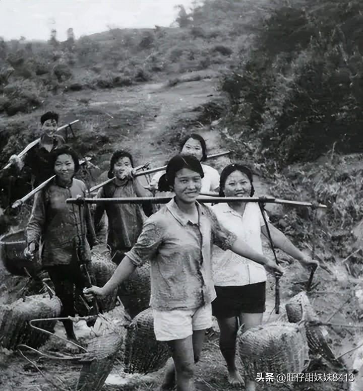 關(guān)于49圖庫(kù)圖片資料的專業(yè)解析與探索，49圖庫(kù)圖片資料深度解析與探索