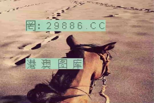 香港特馬資料王中王24期，深度解析與探索，香港特馬資料王中王深度解析與探索，第24期探索之旅