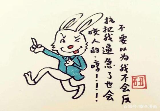 一肖不中賠多少倍，深度解析與策略建議，一肖不中賠倍深度解析及策略建議