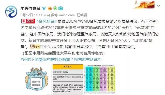 新澳門必中三肖三碼三期必開(kāi)劉伯，揭秘彩票背后的秘密與策略，揭秘彩票背后的秘密與策略，劉伯的新澳門三期必開(kāi)三肖三碼預(yù)測(cè)技巧