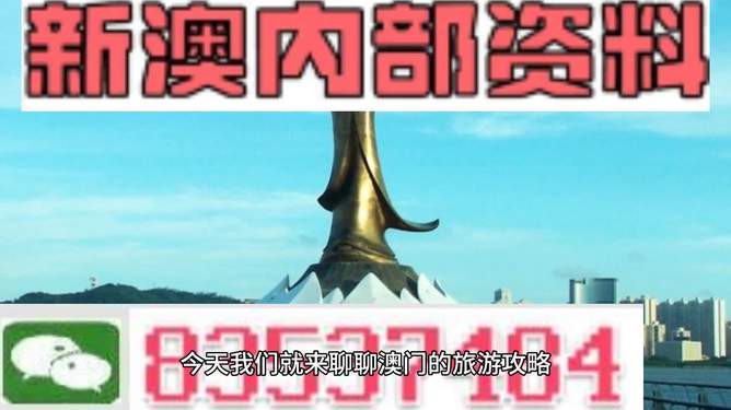 澳門免費資料大全精準(zhǔn)版853，探索澳門的文化與歷史，澳門文化與歷史探索，精準(zhǔn)資料大全853
