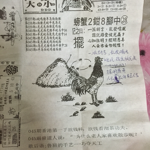 揭秘林中的高手王中王猜一肖的奧秘，揭秘林中之王王中王與生肖奧秘探秘
