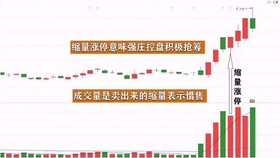 王中王一肖平碼，揭秘背后的故事與SEO策略，王中王一肖平碼背后的故事與SEO策略揭秘