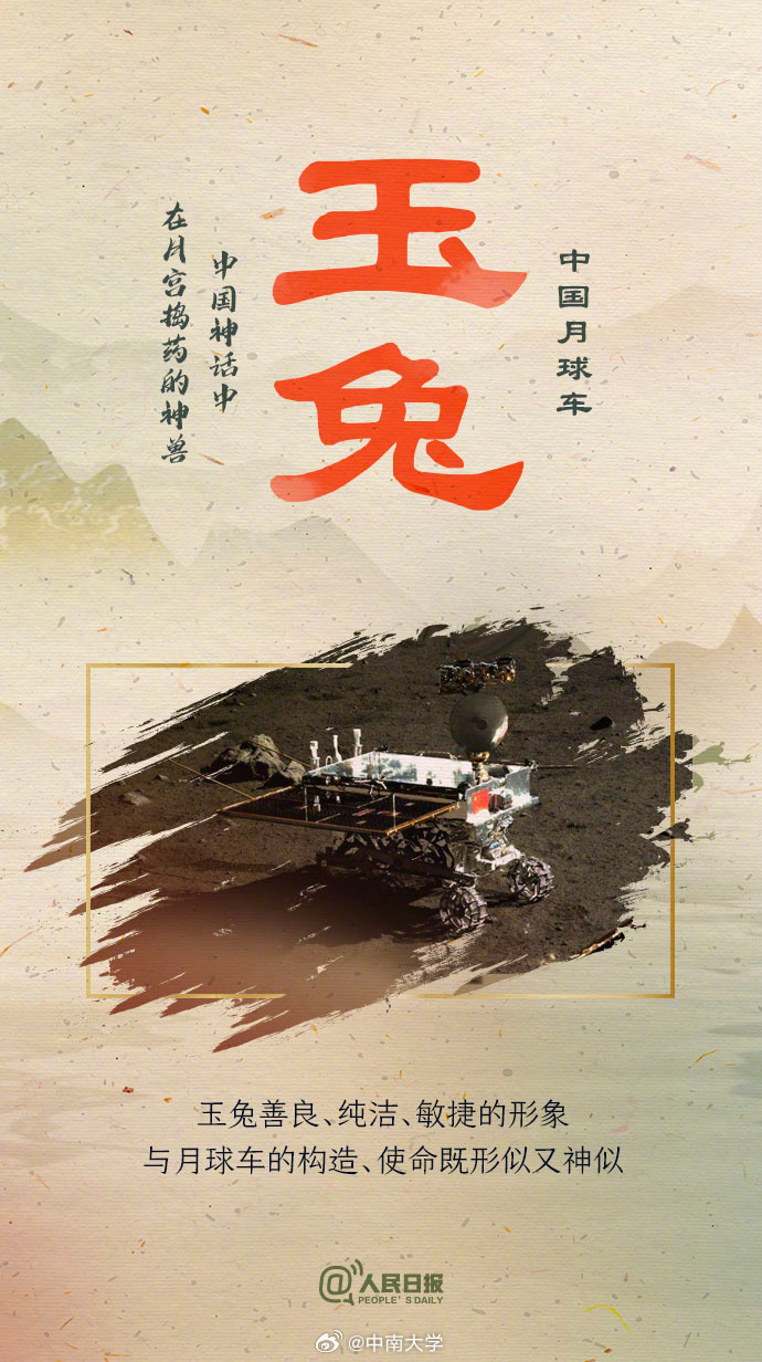 揭秘王中王平特一肖免會(huì)公開的奧秘，王中王平特一肖免公開揭秘奧秘