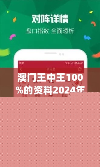 王中王網(wǎng)站一肖，探索與SEO優(yōu)化策略，王中王網(wǎng)站一肖，深度探索與SEO優(yōu)化策略實踐