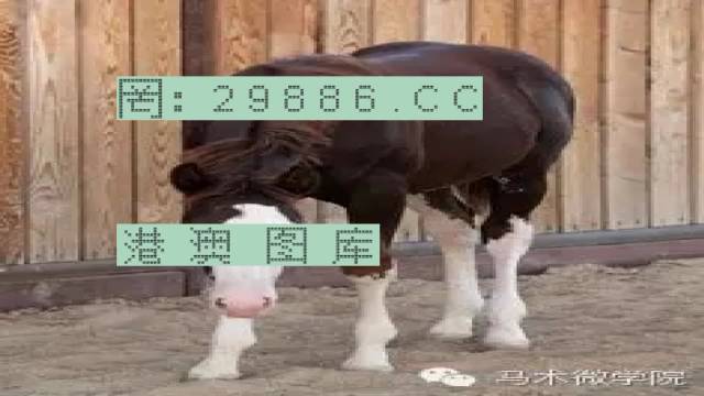 揭秘446999一肖中特馬之秘密，掌握中獎(jiǎng)玄機(jī)！，揭秘特馬中獎(jiǎng)玄機(jī)，446999一肖中的秘密大揭秘！