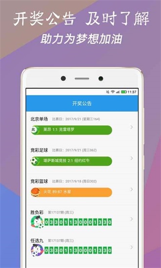 澳門今一必中一肖一碼一肖，揭秘彩票背后的秘密與策略，揭秘彩票背后的秘密與策略，澳門今一必中一肖一碼一肖探秘